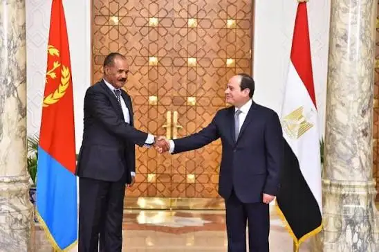 The Horn of Africa Cannot Build Lasting Peace by Leaving Ethiopia outside the Room